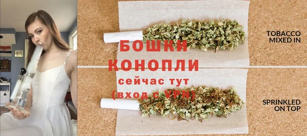 твердый Протвино