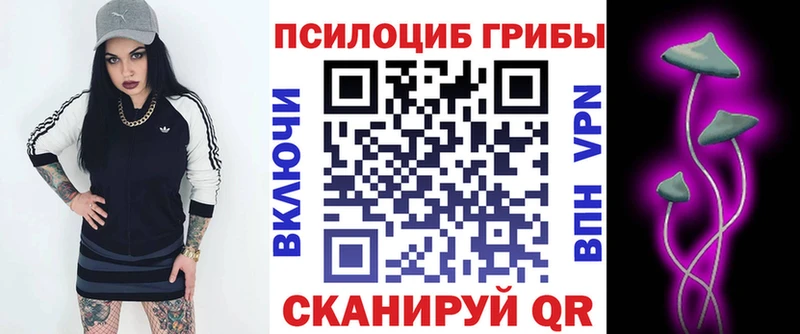 Галлюциногенные грибы MAGIC MUSHROOMS  магазин  наркотиков  Белая Калитва 