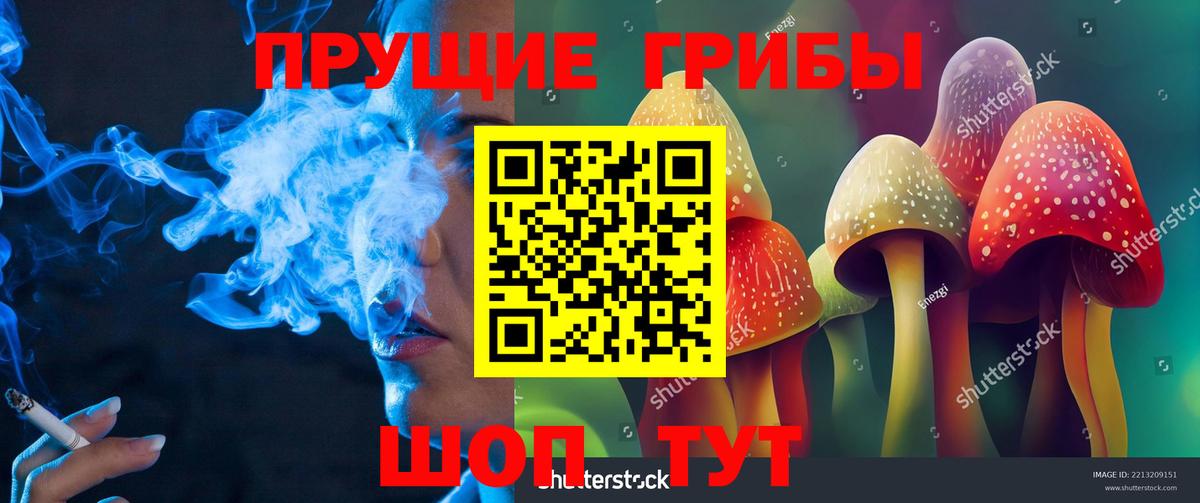 Псилоцибиновые грибы мухоморы Белая Калитва